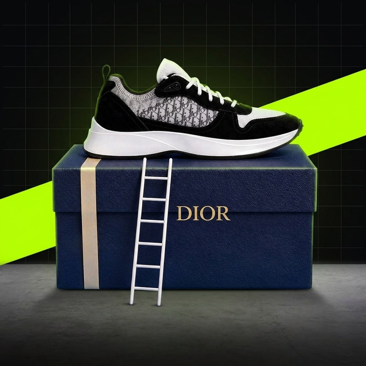 DIOR B25